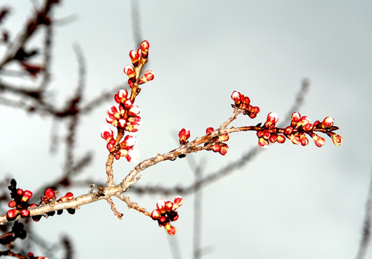 DSC02353___.jpg