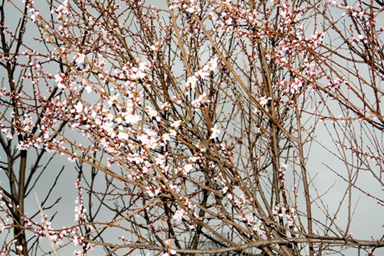 DSC02316_____.jpg