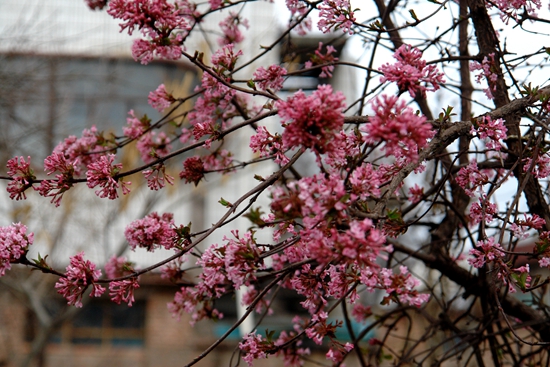 DSC02321_.jpg
