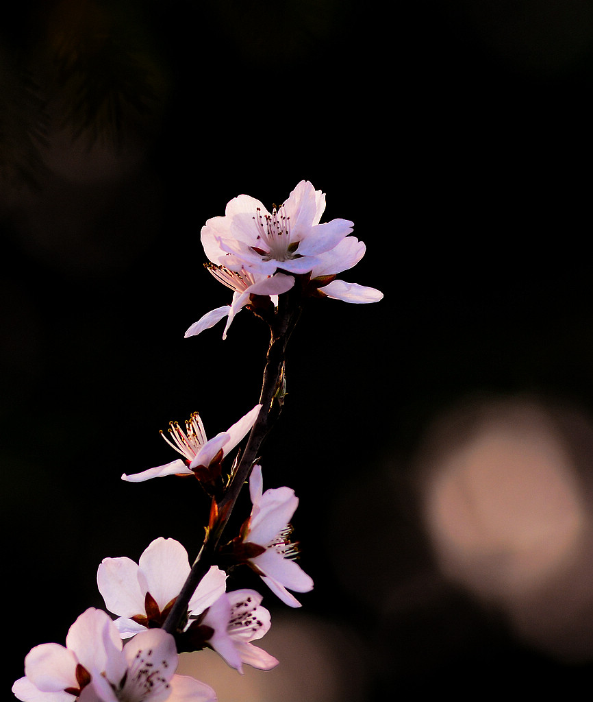 DSC_0570.jpg