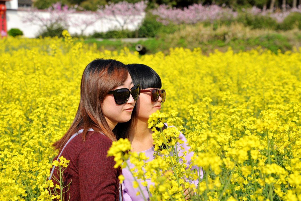 DSC_0783_conew2.jpg
