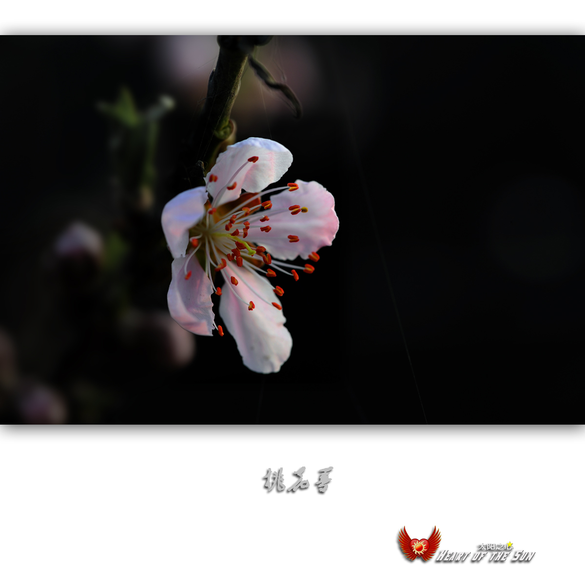 һ2.jpg