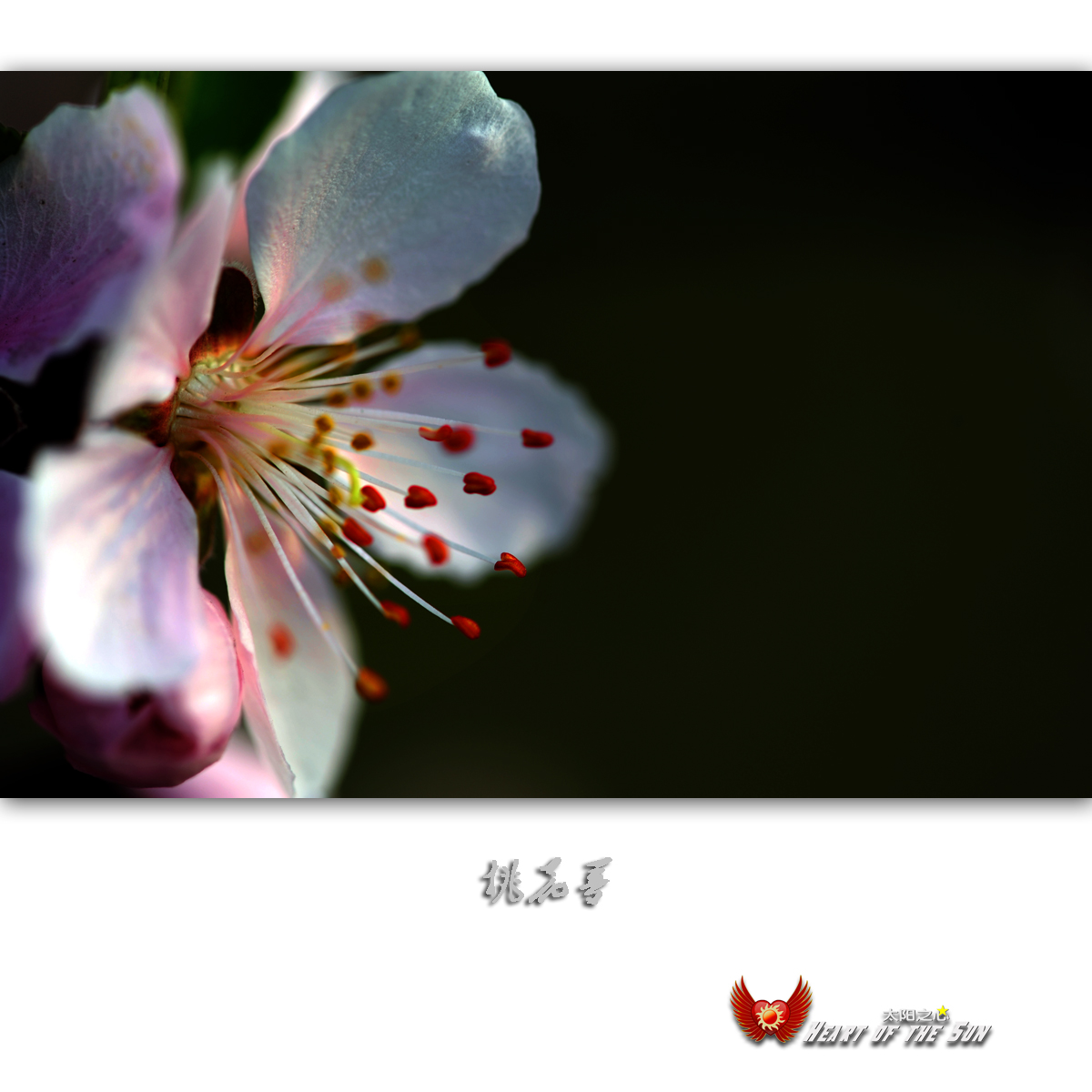 һ3.jpg
