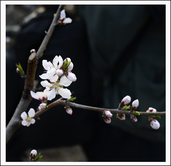 2014330ֹ 03512.jpg