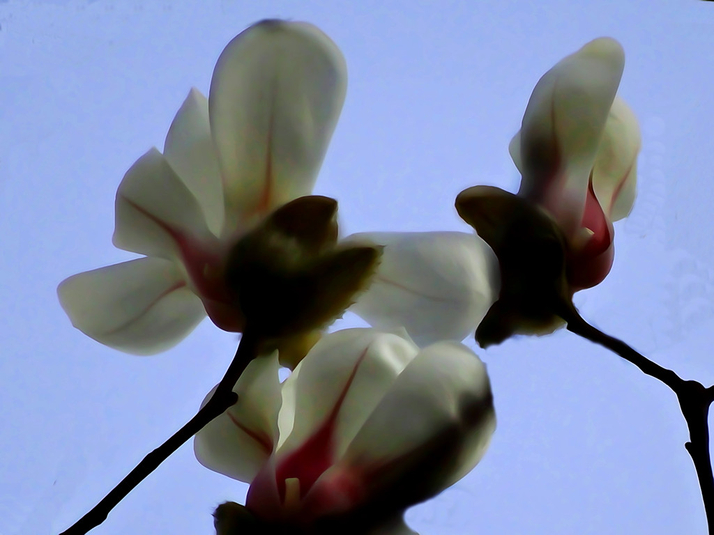 DSC08432_.jpg