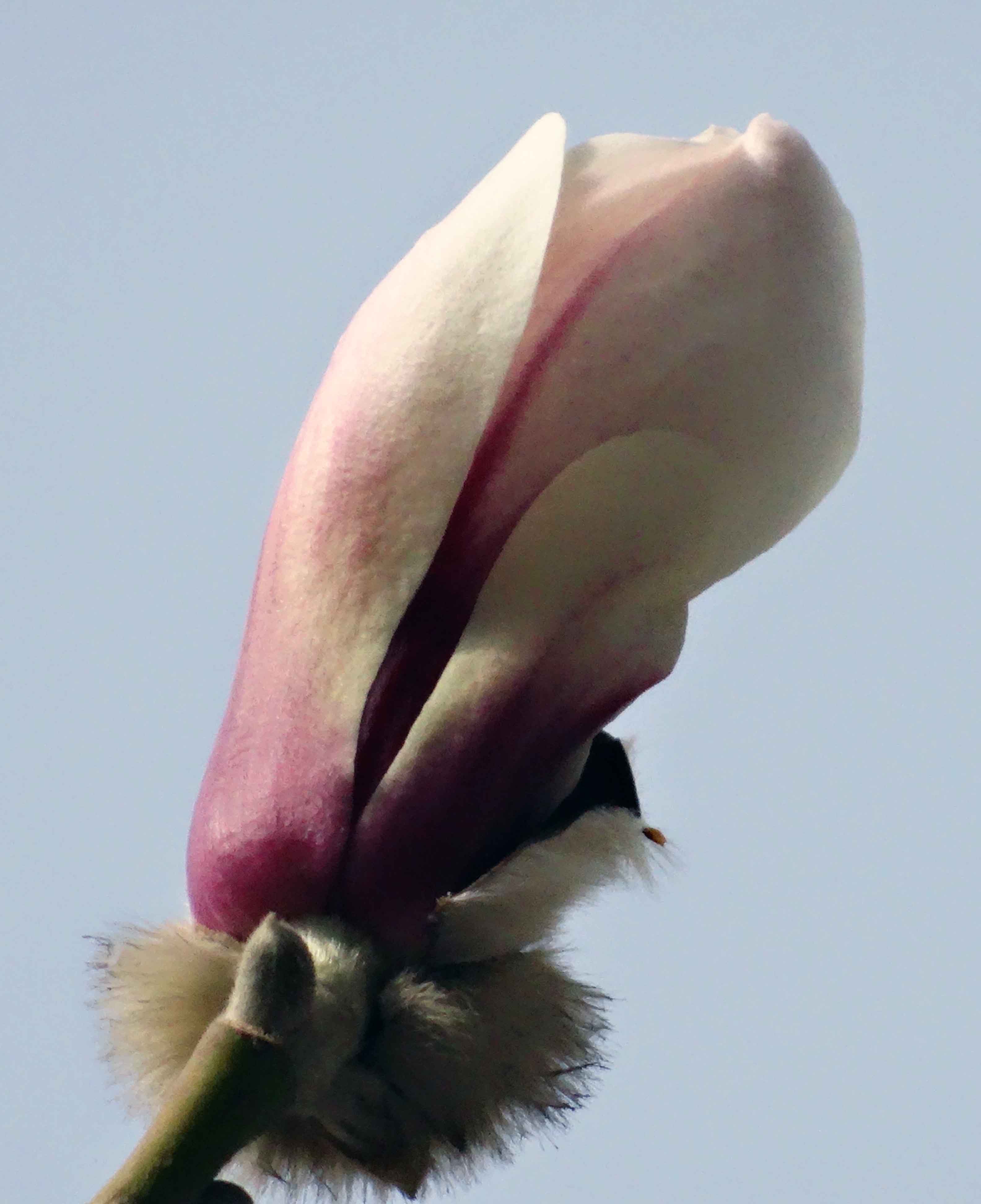 DSC08440.JPG