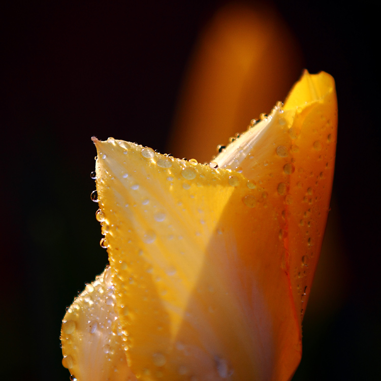IMG_8697.JPG