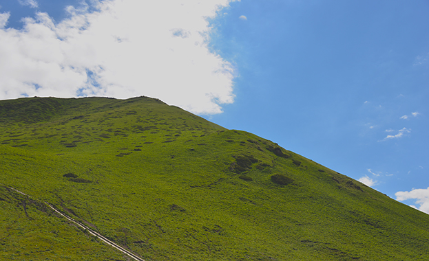 DSC_1290.JPG