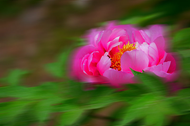 P1030846_.jpg