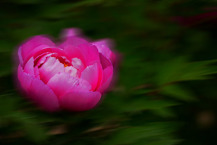 P1030855_.jpg