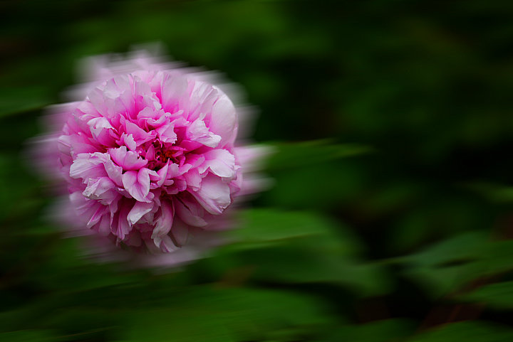 P1030863_.jpg