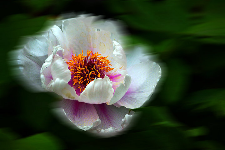 P1030879__.jpg
