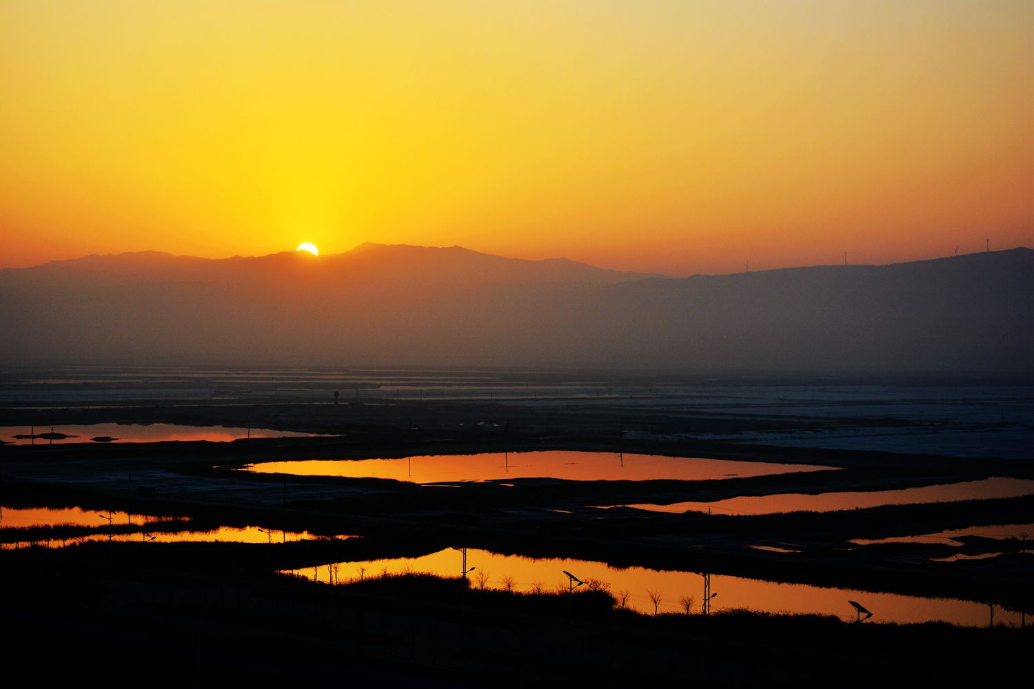 DSC_0011__.jpg