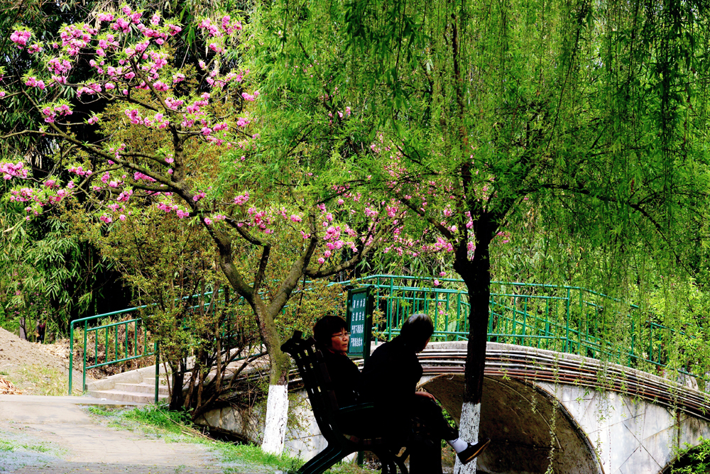 DSC03739С.jpg