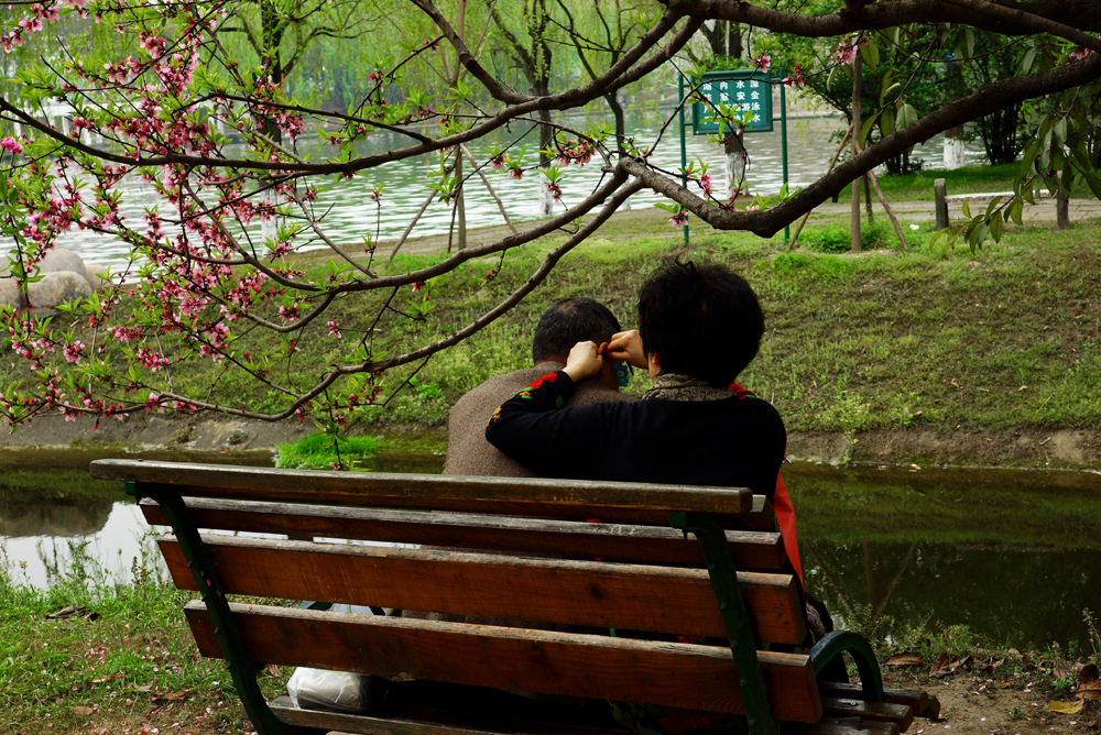 DSC03694С.jpg