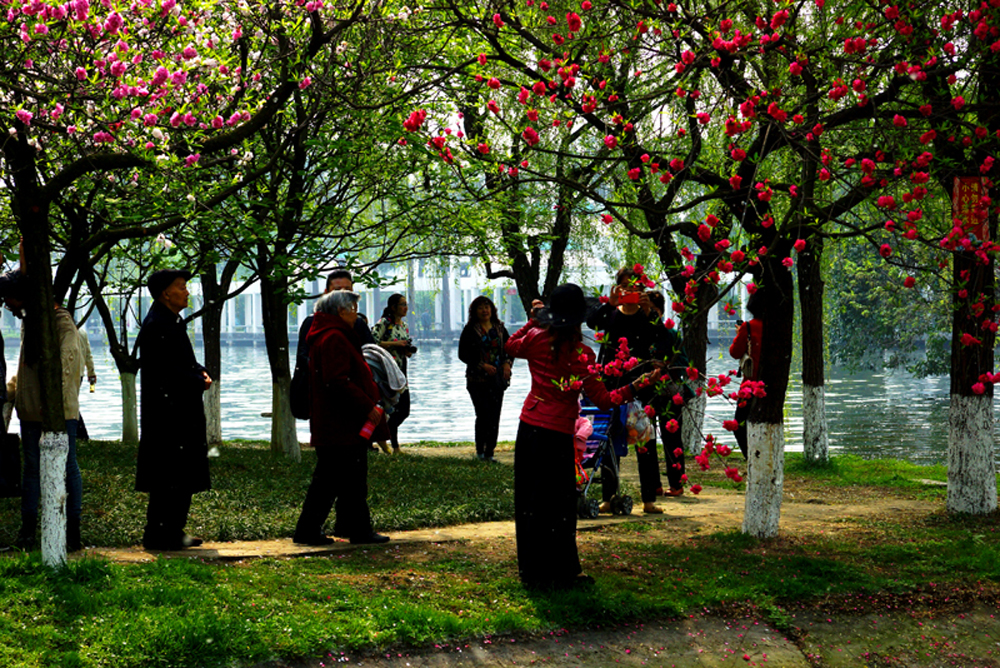 DSC03511С.jpg