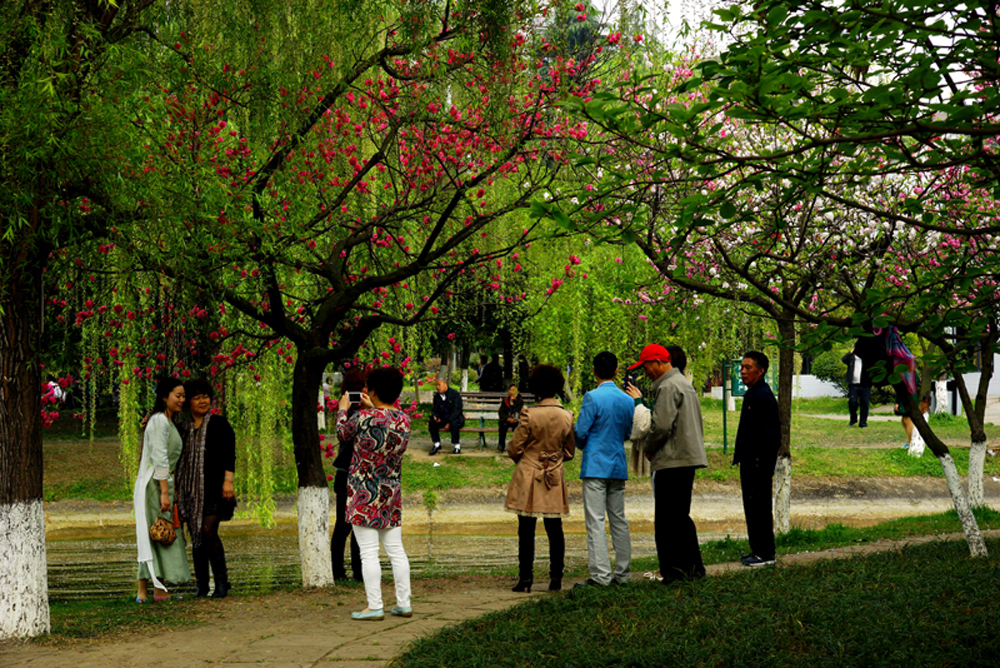 DSC03558С.jpg