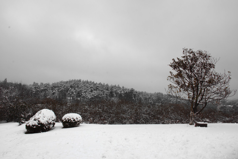 DSC06572_.jpg