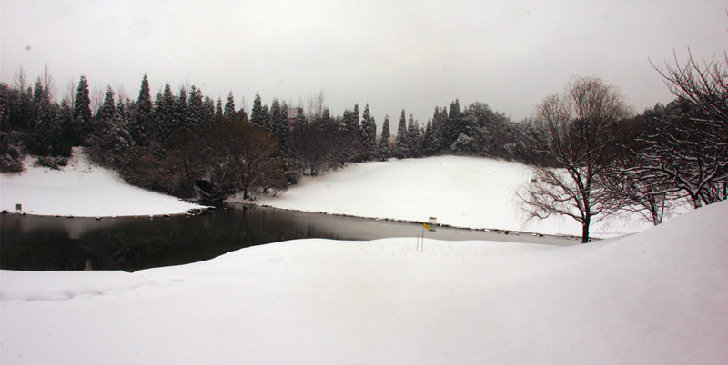 DSC06574_.jpg