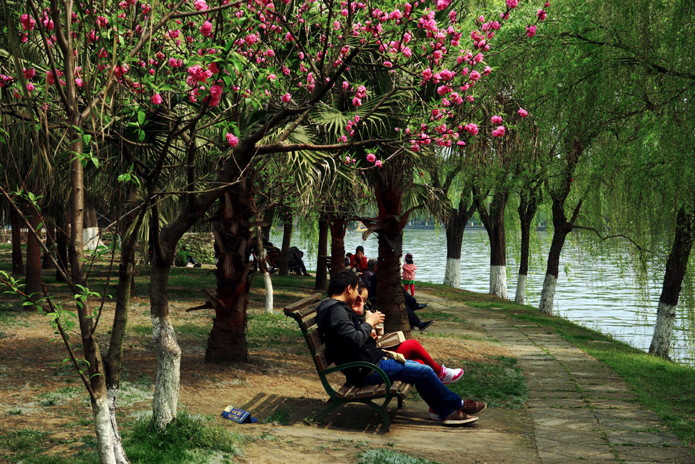 DSC03820С.jpg