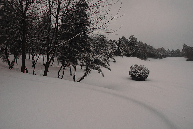 DSC06678_.jpg