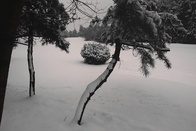 DSC06685_.jpg