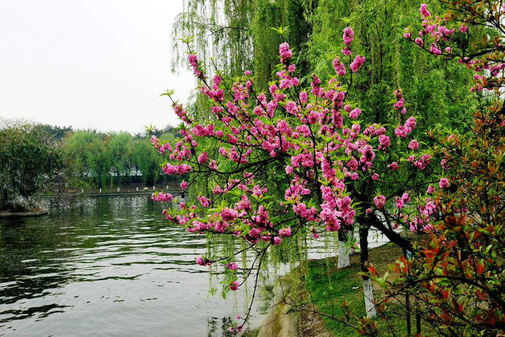 DSC03703С.jpg