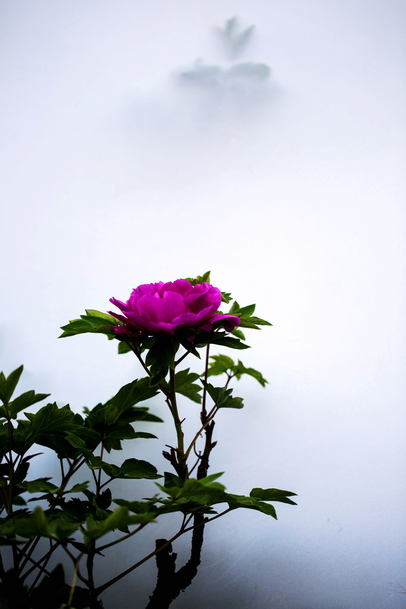 IMG_5756_.jpg