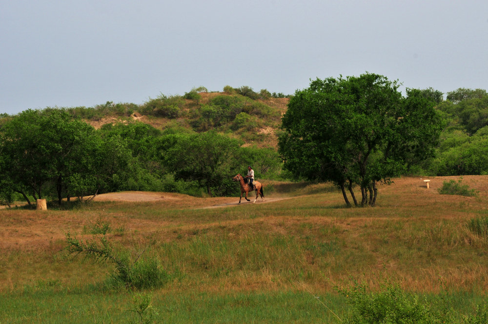 DSC_9392.jpg