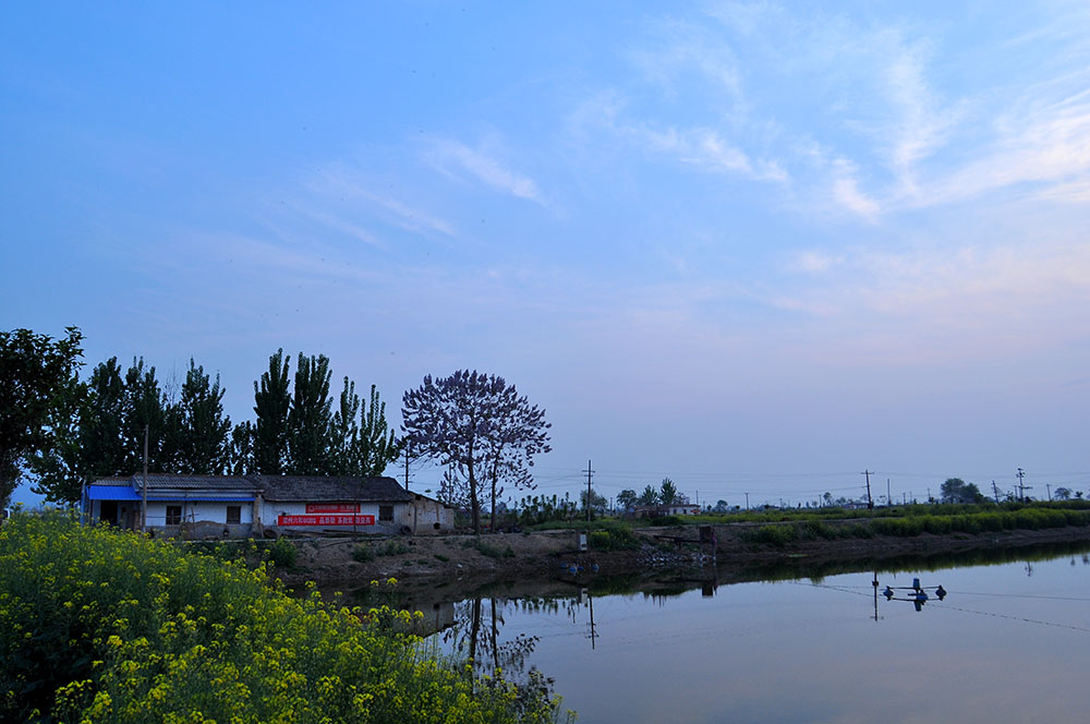 DSC_0062.JPG