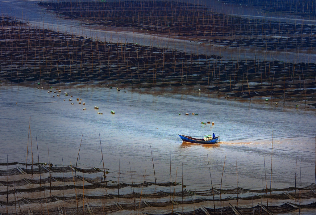 A-1.jpg