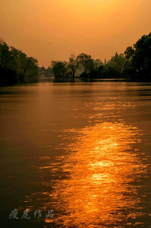 DSC_5135-cc-s1-xc1.jpg