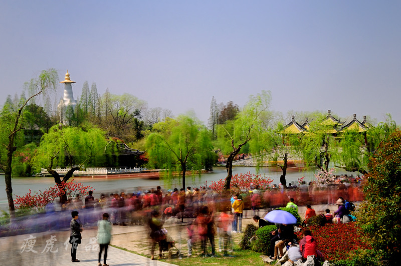 DSC_5365-nx-xc1.jpg
