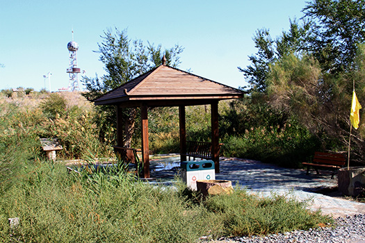 254.JPG