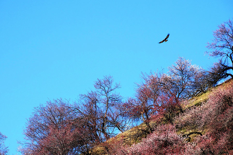 ԴӻӰһ20140409 (4).jpg