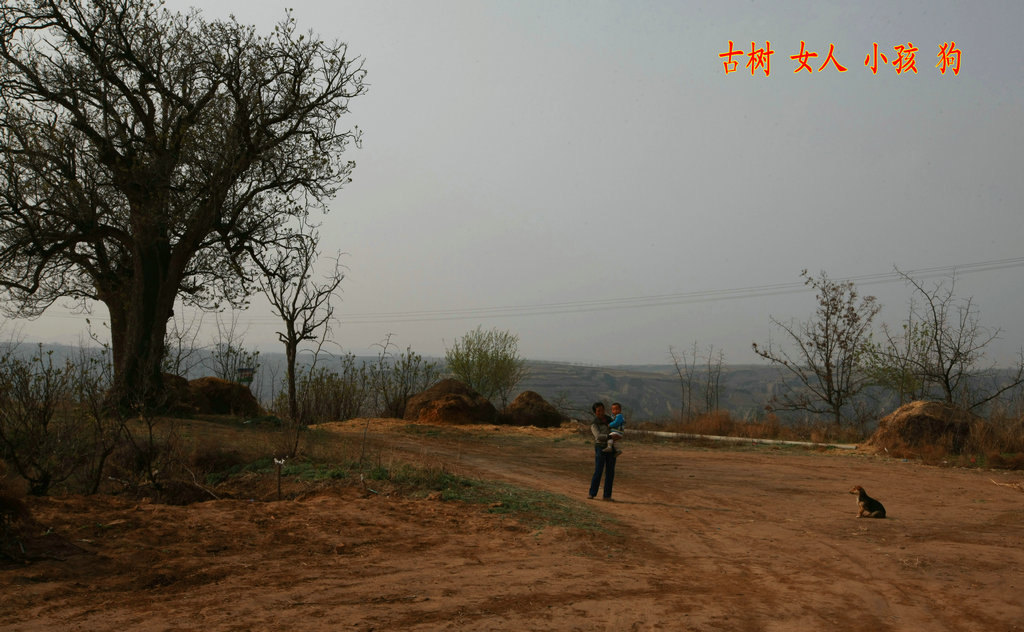 5C9J3191.jpg