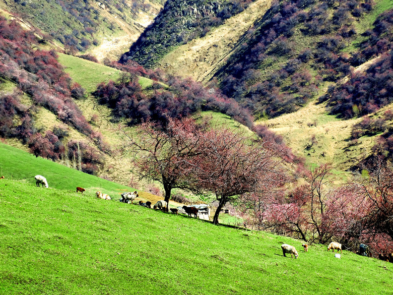ӻ5_.jpg