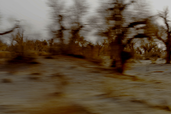 DSC_0241.JPG