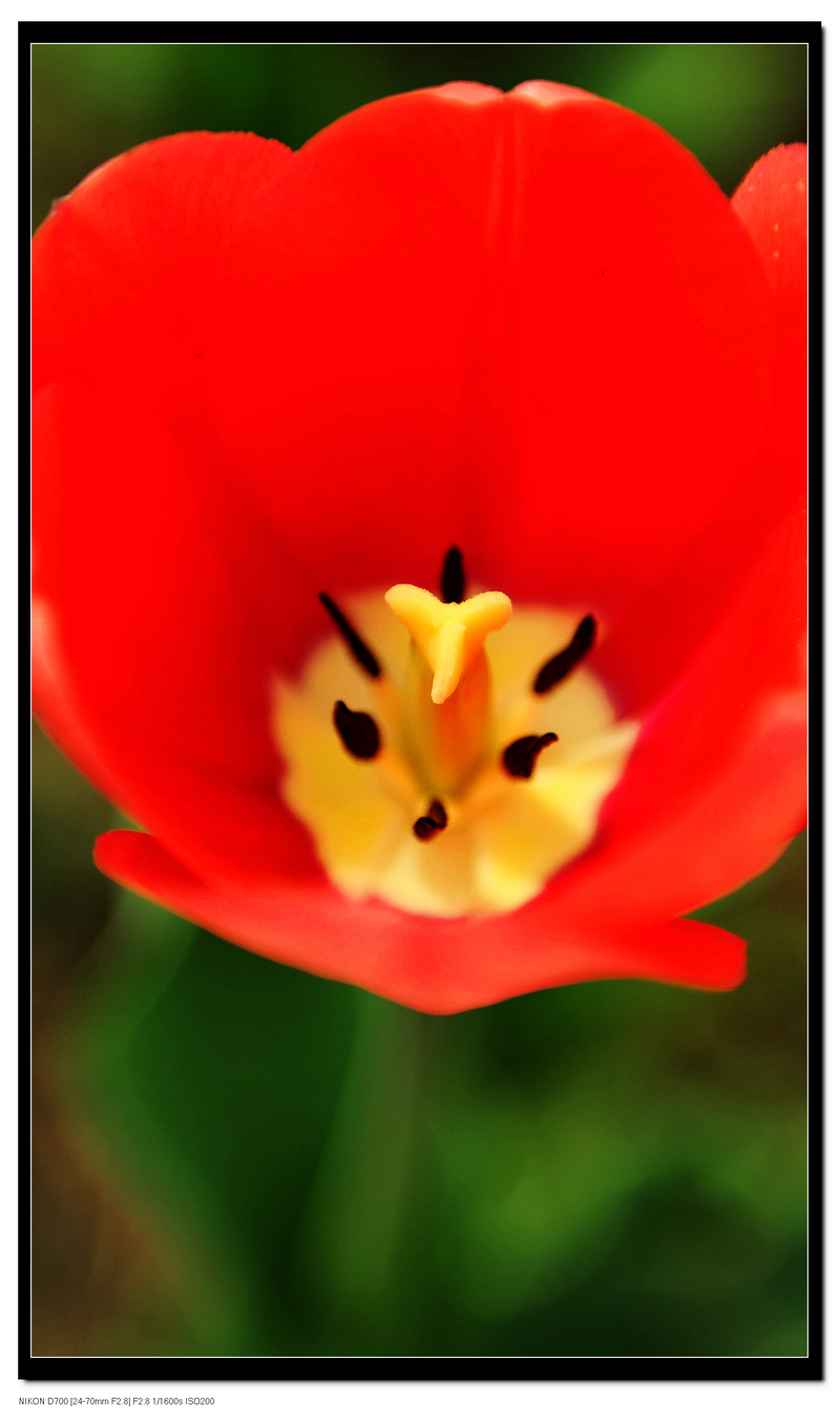 DSC_8107.jpg