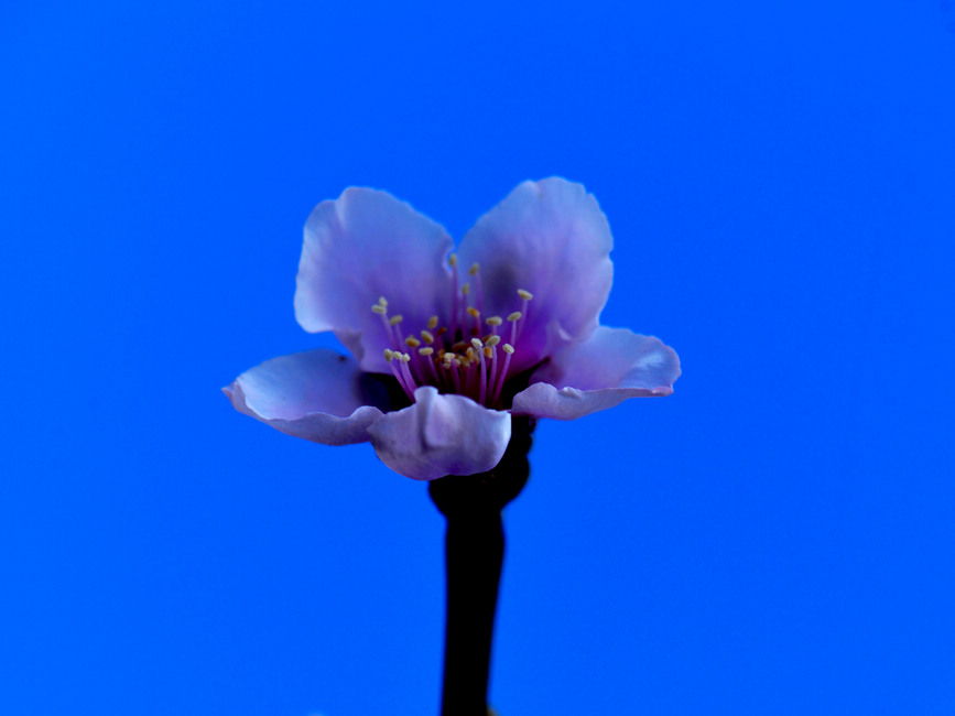 һ9.jpg