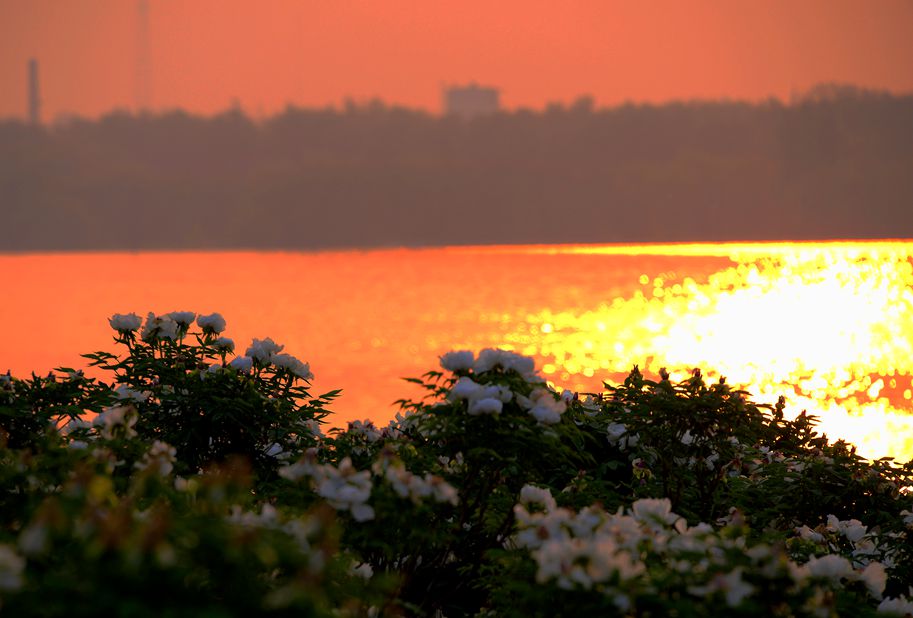 DSC_6128_.jpg