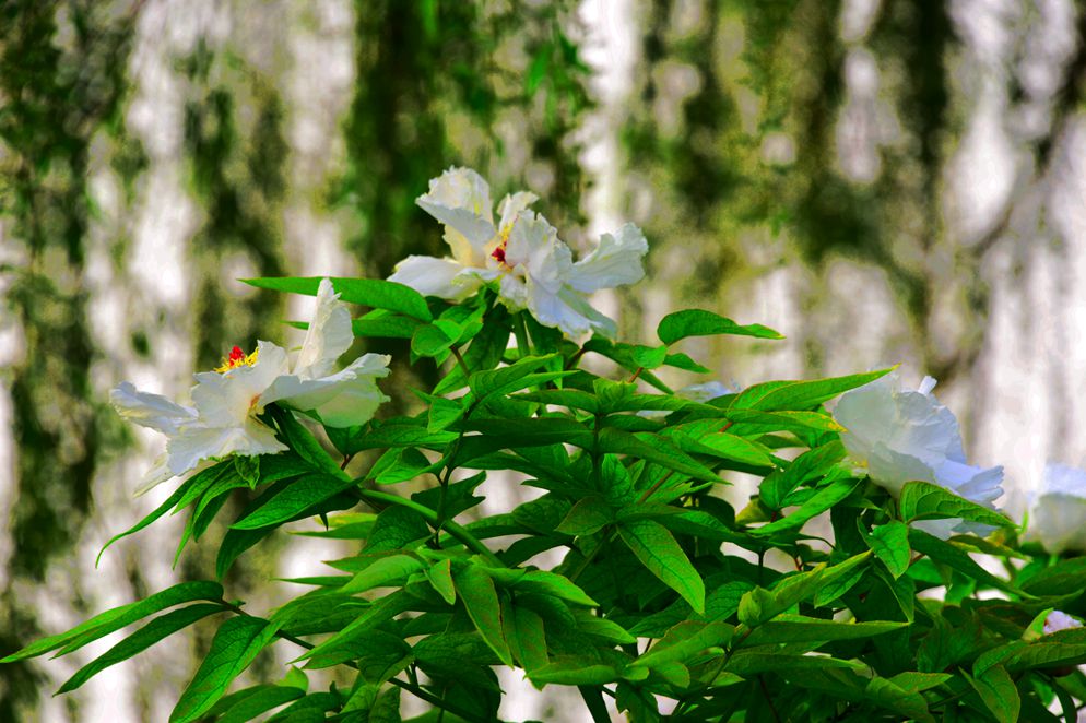 DSC_6159_.jpg