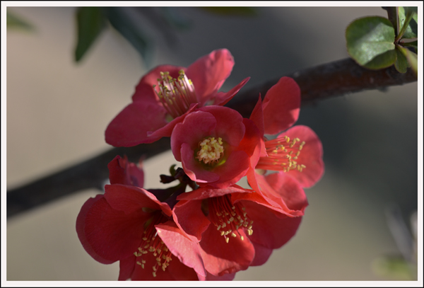 201443Ƭ 02612.jpg
