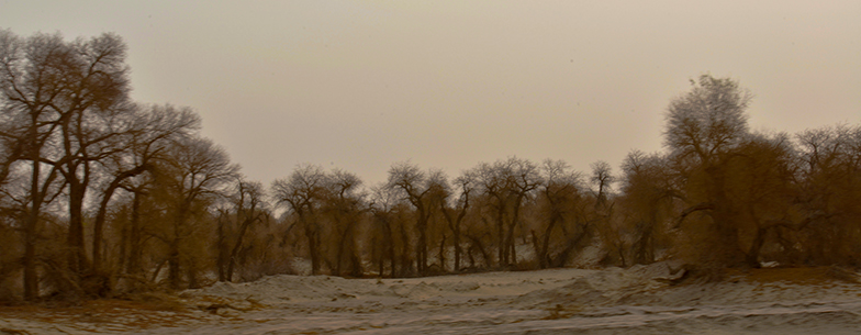 DSC_0066.JPG