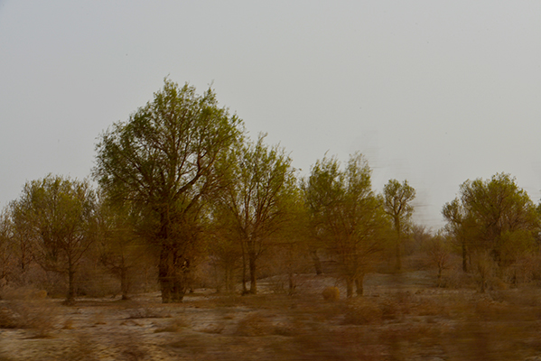 DSC_0182.JPG