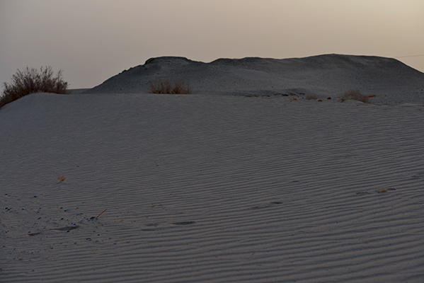 DSC_0169.JPG