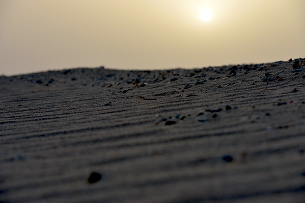DSC_0173.JPG
