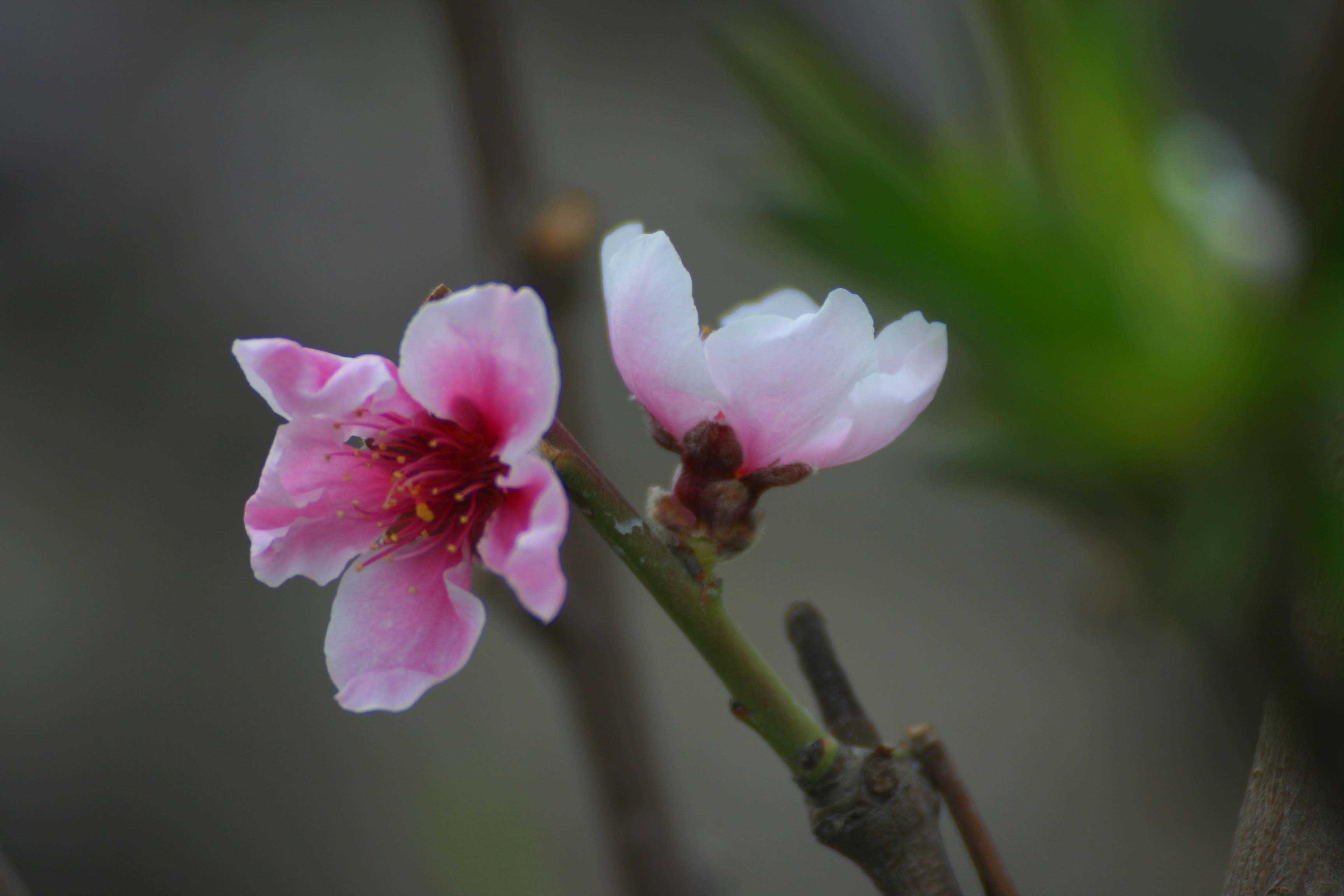 ͹㳡 0511.jpg