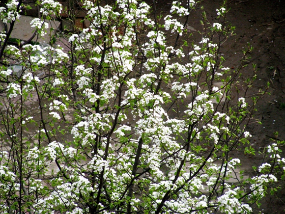 IMG_1719__.jpg