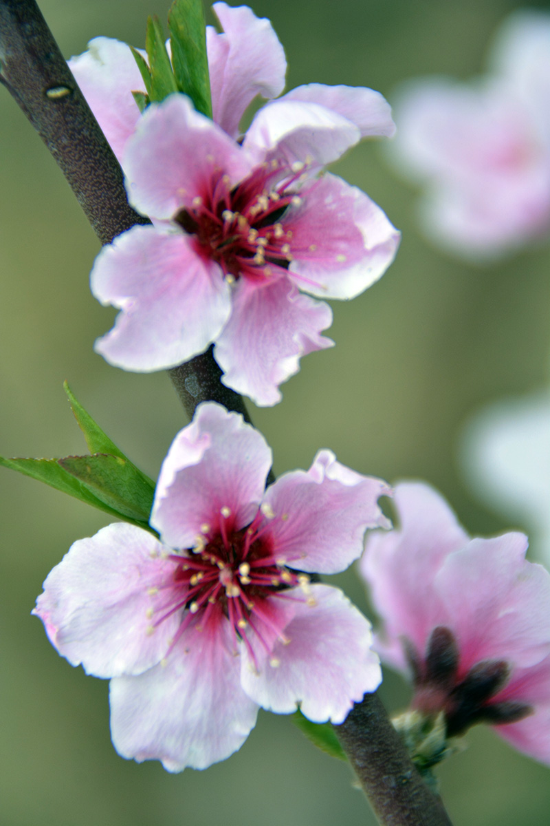 һ 041ab.jpg